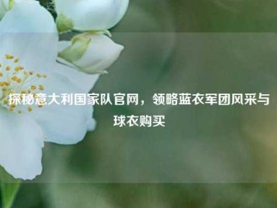探秘意大利国家队官网，领略蓝衣军团风采与球衣购买