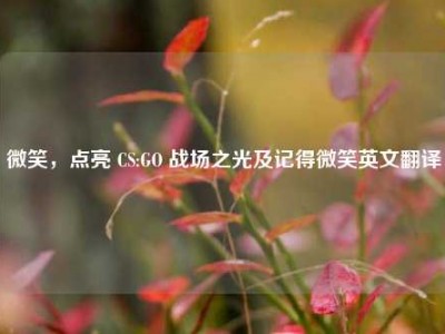 微笑，点亮 CS:GO 战场之光及记得微笑英文翻译