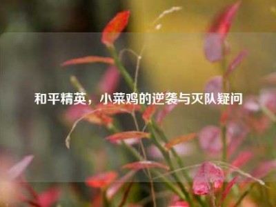 和平精英，小菜鸡的逆袭与灭队疑问