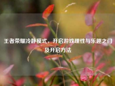 王者荣耀冷静模式，开启游戏理性与乐趣之门及开启方法