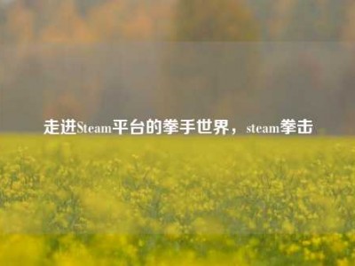 走进Steam平台的拳手世界，steam拳击