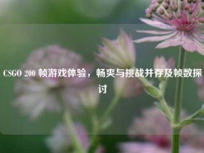 CSGO 200 帧游戏体验，畅爽与挑战并存及帧数探讨