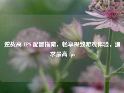 逆战高 FPS 配置指南，畅享极致游戏体验，追求最高 fps