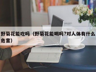 野菊花能吃吗（野菊花能喝吗?对人体有什么危害）