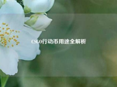 CSGO行动币用途全解析