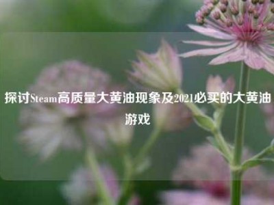 探讨Steam高质量大黄油现象及2021必买的大黄油游戏