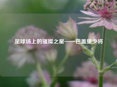 足球场上的璀璨之星——巴盖里少将