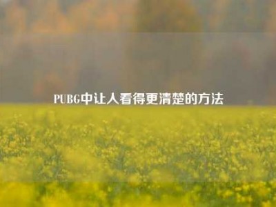 PUBG中让人看得更清楚的     
