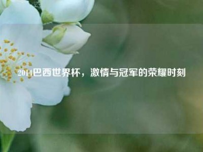 2014巴西世界杯，激情与冠军的荣耀时刻
