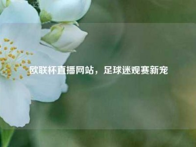 欧联杯直播网站，足球迷观赛新宠