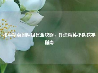 和平精英团队组建全攻略，打造精英小队教学指南