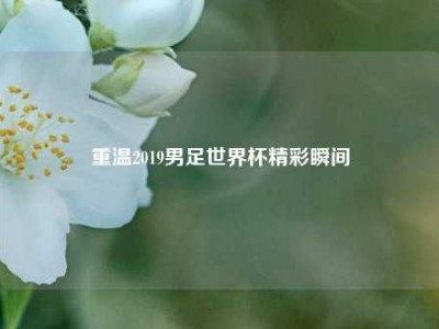 重温2019男足世界杯精彩瞬间
