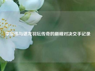 李宗伟与谌龙羽坛传奇的巅峰对决交手记录