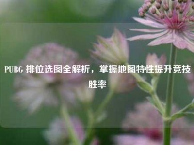 PUBG 排位选图全解析，掌握地图特性提升竞技胜率