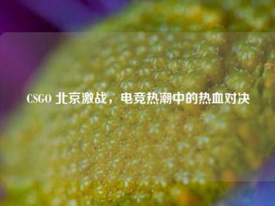 CSGO 北京激战，电竞热潮中的热血对决