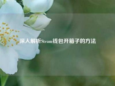 深入解析Steam钱包开箱子的方法