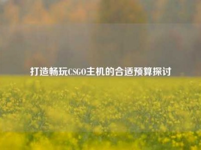 打造畅玩CSGO主机的合适预算探讨
