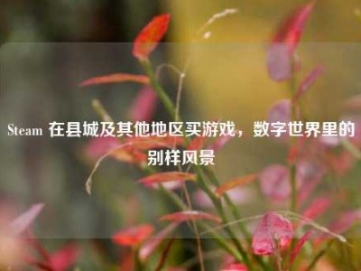 Steam 在县城及其他地区买游戏，数字世界里的别样风景