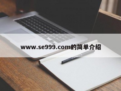 www.se999.com的简单介绍