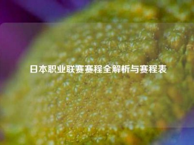 日本职业联赛赛程全解析与赛程表