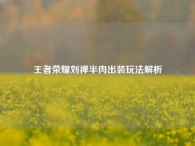 王者荣耀刘禅半肉出装玩法解析