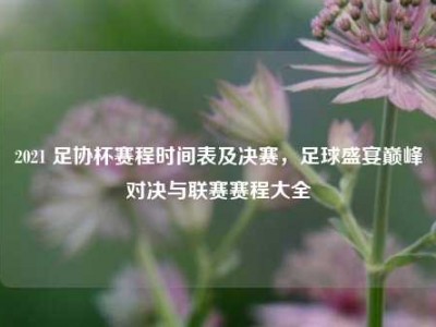 2021 足协杯赛程时间表及决赛，足球盛宴巅峰对决与联赛赛程大全