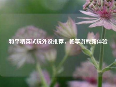 和平精英试玩外设推荐，畅享游戏新体验
