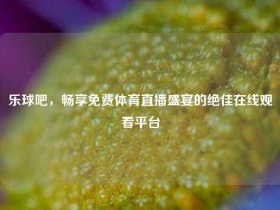 乐球吧，畅享免费体育直播盛宴的绝佳在线观看平台