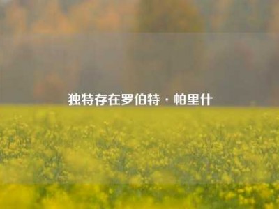 独特存在罗伯特·帕里什