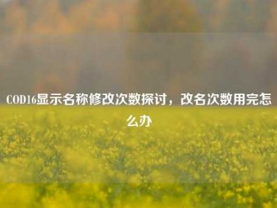 COD16显示名称修改次数探讨，改名次数用完怎么办