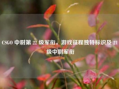 CSGO 中尉第 22 级军衔，游戏征程独特标识及 21 级中尉军衔