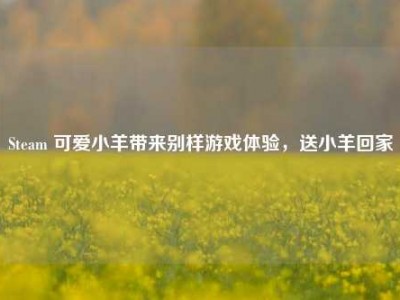 Steam 可爱小羊带来别样游戏体验，送小羊回家
