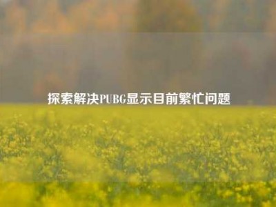 探索解决PUBG显示目前繁忙问题