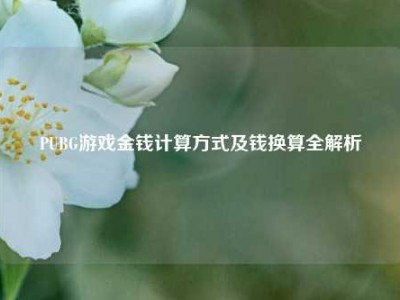 PUBG游戏金钱计算方式及钱换算全解析