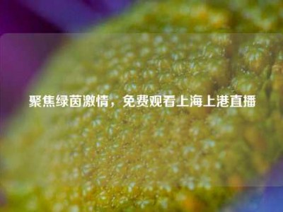 聚焦绿茵     ，免费观看上海上港直播