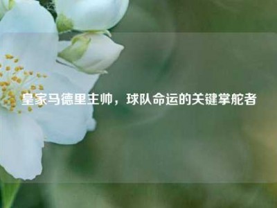 皇家马德里主帅，球队命运的关键掌舵者