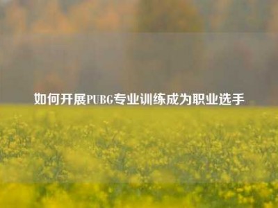 如何开展PUBG专业训练成为职业选手