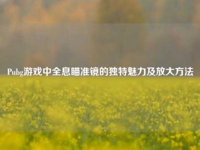 Pubg游戏中全息瞄准镜的独特魅力及放大方法