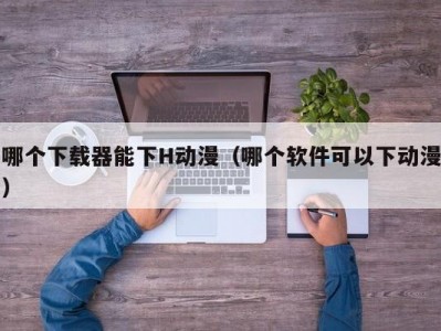 哪个下载器能下H动漫（哪个软件可以下动漫）
