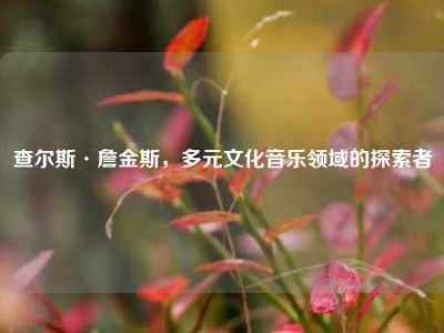 查尔斯·詹金斯，多元文化音乐领域的探索者