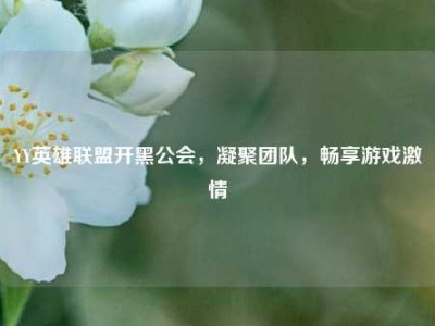 YY英雄联盟开黑公会，凝聚团队，畅享游戏激情