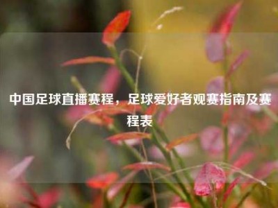 中国足球直播赛程，足球爱好者观赛指南及赛程表