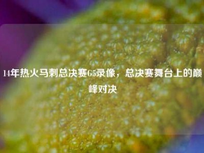 14年热火马刺总决赛G5录像，总决赛舞台上的巅峰对决