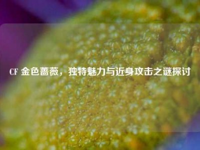 CF 金色蔷薇，独特魅力与近身攻击之谜探讨