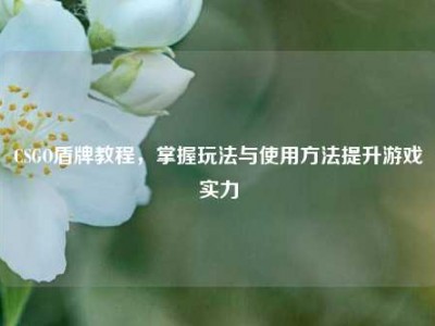 CSGO盾牌教程，掌握玩法与使用方法提升游戏实力