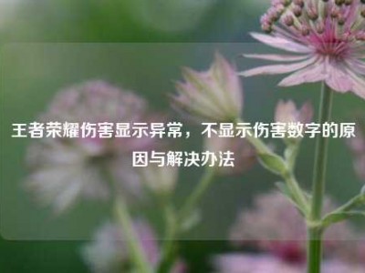 王者荣耀伤害显示异常，不显示伤害数字的原因与解决办法