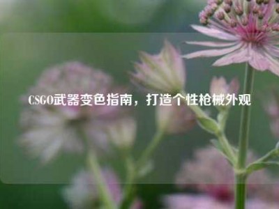 CSGO武器变色指南，打造个性枪械外观