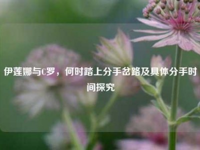 伊莲娜与C罗，何时踏上分手岔路及具体分手时间探究