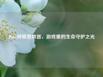 Pubg呼吸急救器，游戏里的生命守护之光