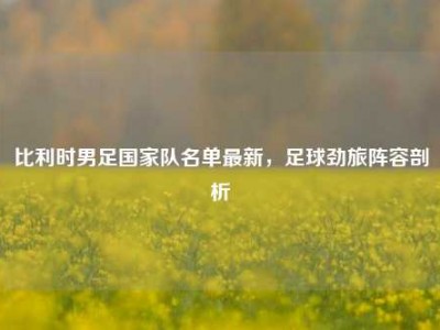 比利时男足国家队名单最新，足球劲旅阵容剖析